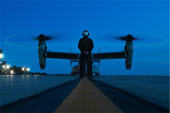 Osprey picture